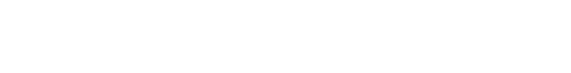 Panoramik